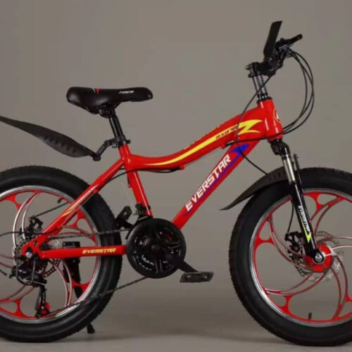 Kids 20 Inch Bicycle for Boys & Girls