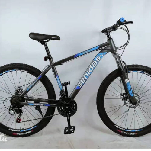 Kids 29 Inch Bicycle for Boys & Girls